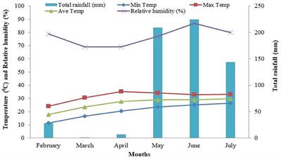 Responses of Water and Pigments Status, Dry Matter Partitioning, Seed Production, and Traits of Yield and Quality to Foliar Application of GA3 in Mungbean (Vigna radiata L.)